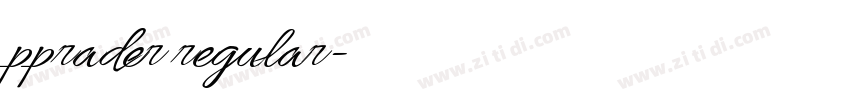 pprader regular字体转换 pprader regular字体转换